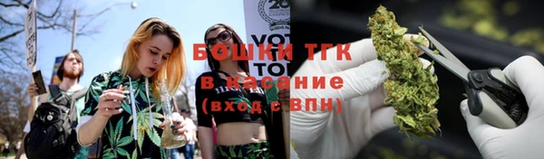 дмт Горняк