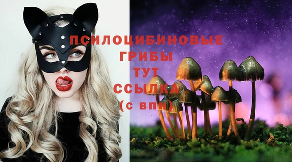 МДПВ Горнозаводск