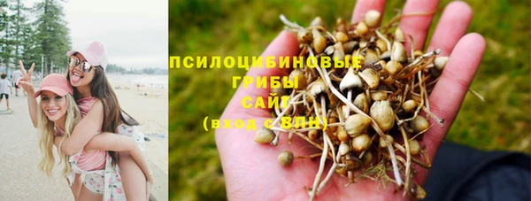 МДПВ Горнозаводск